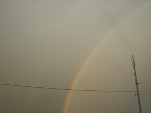 rainbow_5_by_wolfke74-d4p0xwm