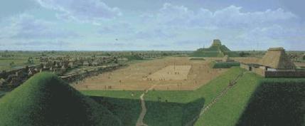 cosmic landscape architecture