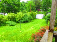 Looking out into the beautiful back yard