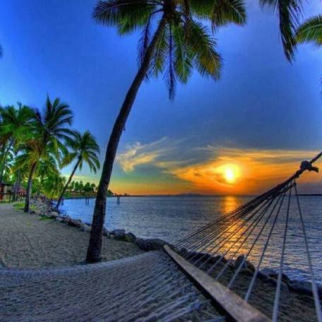 1184932_725614130812425_1738915471_n