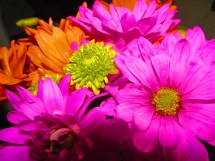 Photo by PocahontasBrandy, 2014