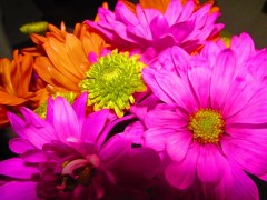 Photo by PocahontasBrandy, 2014