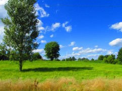 Photo by PocahontasBrandy, 2013