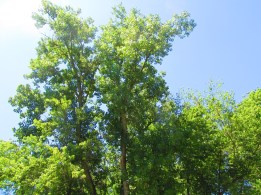 Photo by PocahontasBrandy, 2014