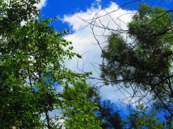 Photo by PocahontasBrandy, 2014