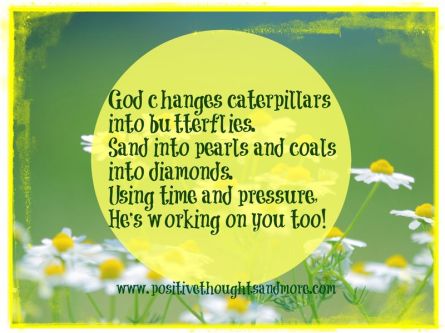 Summer-green-background-nature-flowers-daisies-white-wallpaper-wallwuzz-hd-wallpaper-17782 Summer-green-background-nature-flowers-daisies-white-wallpaper-wallwuzz-hd-wallpaper-17782