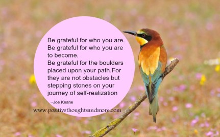 Flowers-colorful-birds-wallpaper-12_960x600