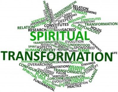 81bb830299674b2b1718b950cb674a20