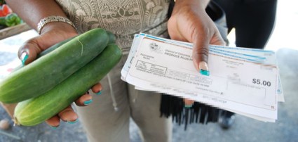 food-stamps-money-produce-735-350
