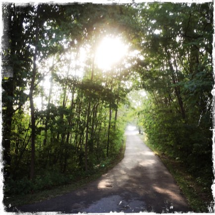 barbara-sinclair-who-to-trust-on-your-own-healing-journey-680x680