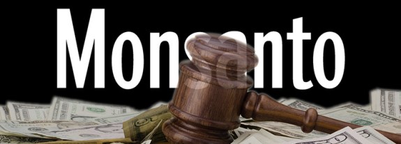 monsanto-money-court-judge-white-735-250