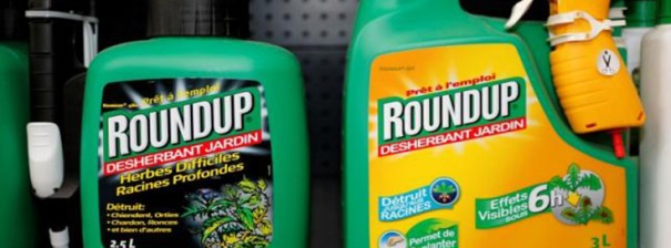 roundup-pesticides-herbicide-monsanto-735-273