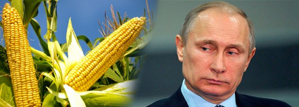 vladimir-putin_crops-corn-735-265