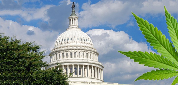 washington-dc-capitol-marijuana-735-350