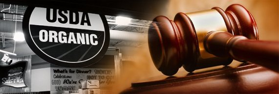 court-lawsuit-gavel-usda-735-250