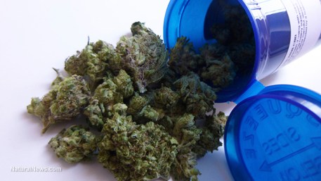 prescription-legal-weed-pot-marijuana