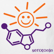 serotonin-sun-organic-kid-s-shirt_design