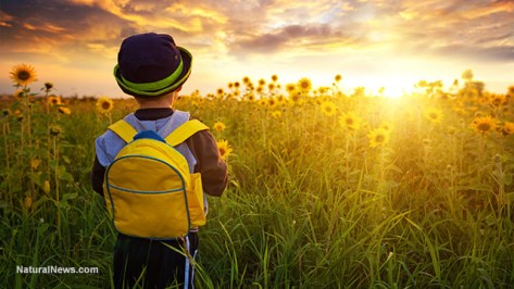 child-farm-field-backpack-sunset