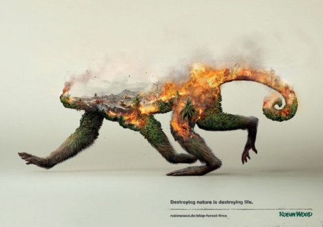 destroying-nature-is-destroying-life4-700x494