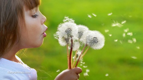 girl-dandelion-healthy