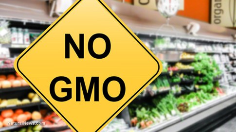 no-gmo-sign-grocery-store-produce