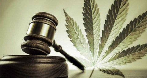 mexico-rules-consumption-and-cultivation-of-cannabis-is-a-fundamental-human-right