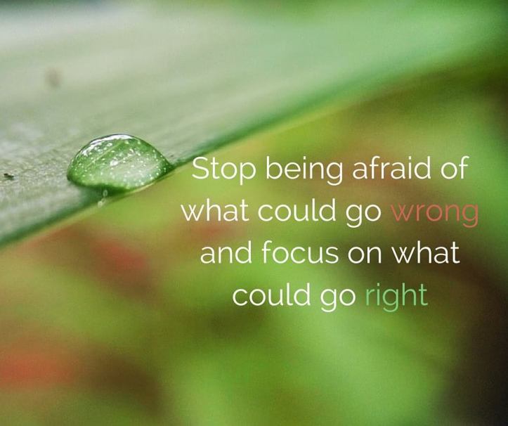 14495282_10154641560745559_3431769555460491286_n