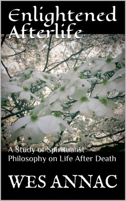 Enlightened Afterlife cover-photo