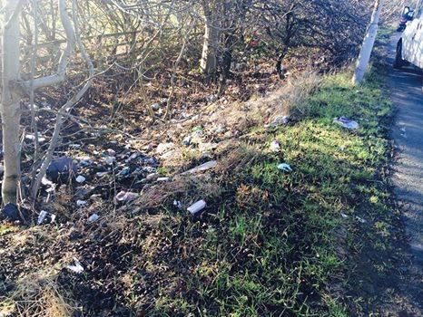 16299262_947214072082924_677034143460050724_n