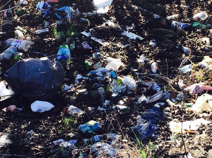 16388427_947214145416250_4886215909360716462_n