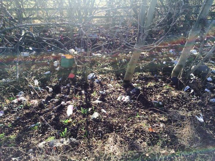 16406783_947214192082912_8457715448684922736_n