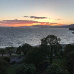 my-view-2017-may-23-3-300x300