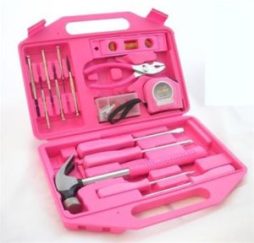 female-toolbox-300x288