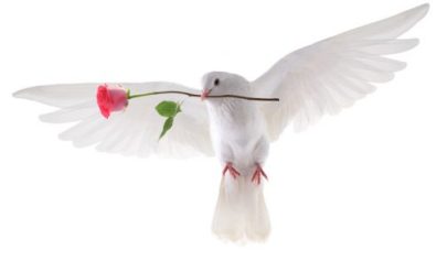 children-of-the-sun-504x295