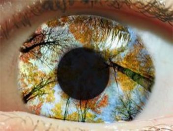 aea6b1c22843e96e9f3c60e5f8c4b841