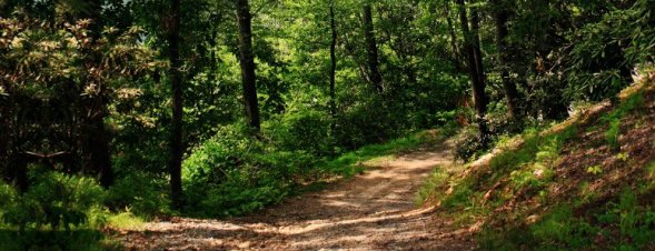 photos-activities-nature-walks