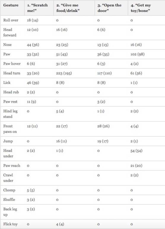 dog-gestures-860x0_q70_crop-smart