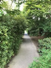 walk-in-park-225x300