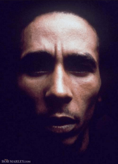 e93f3c_97aa7382cb14419984ad53b14ad83022~mv2