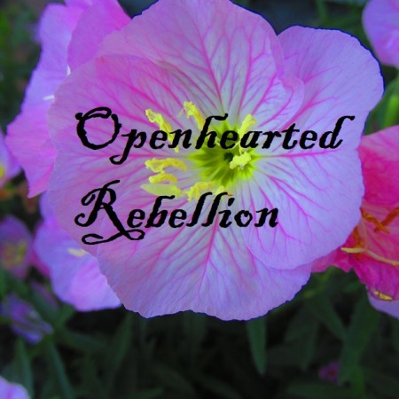 openhearted-rebellion-flower