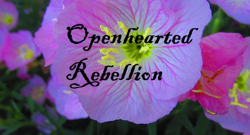 openhearted-rebellion-photo
