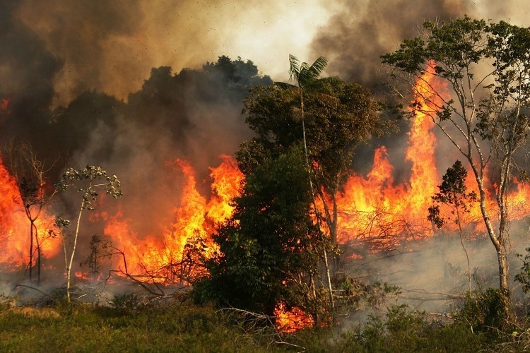 As Fires Rage in World’s Largest Rainforest, NASA Warns ‘Human ...